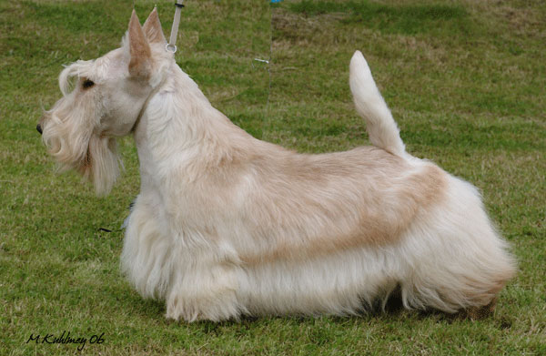 Arabella's King of Queen's Arabella's King of Queen's