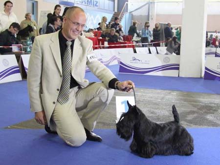 Ayrzol Ozone EW10 Ayrzol Ozone EW10