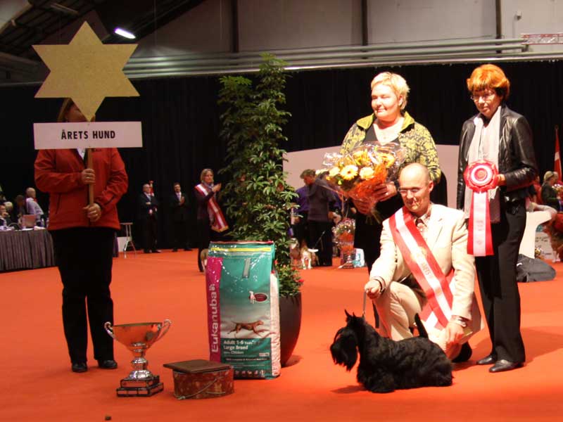 Ayrzol Ozone Top Dog Ayrzol Ozone Top Dog