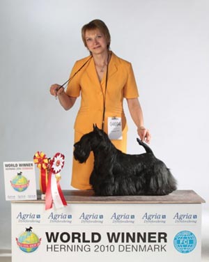 FB Celebration World Winner FB Celebration World Winner