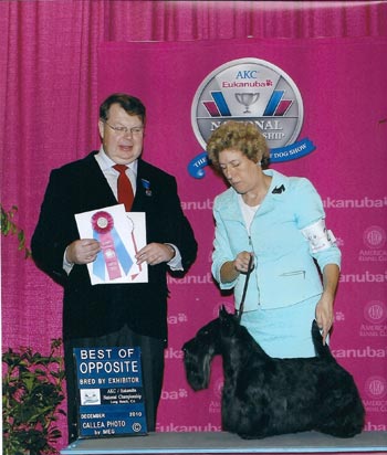 GCH XTC Rumor Has It Eukanuba 2010 GCH XTC Rumor Has It Eukanuba 2010