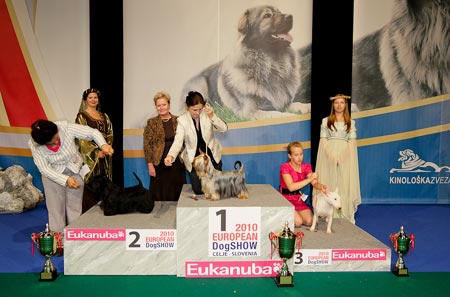 McVan BIS2-Junior EW10 McVan BIS2-Junior EW10