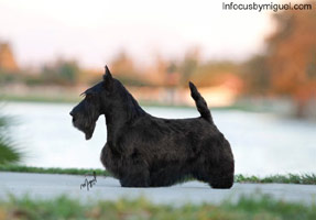 Wilma WKC 2011 Wilma WKC 2011