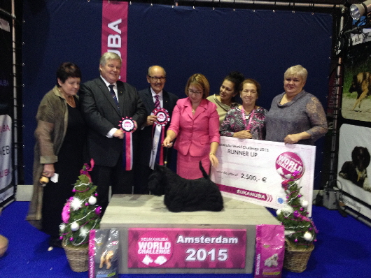 12362972_1227831353899213_6812851812962090756_o 12362972_1227831353899213_6812851812962090756_o