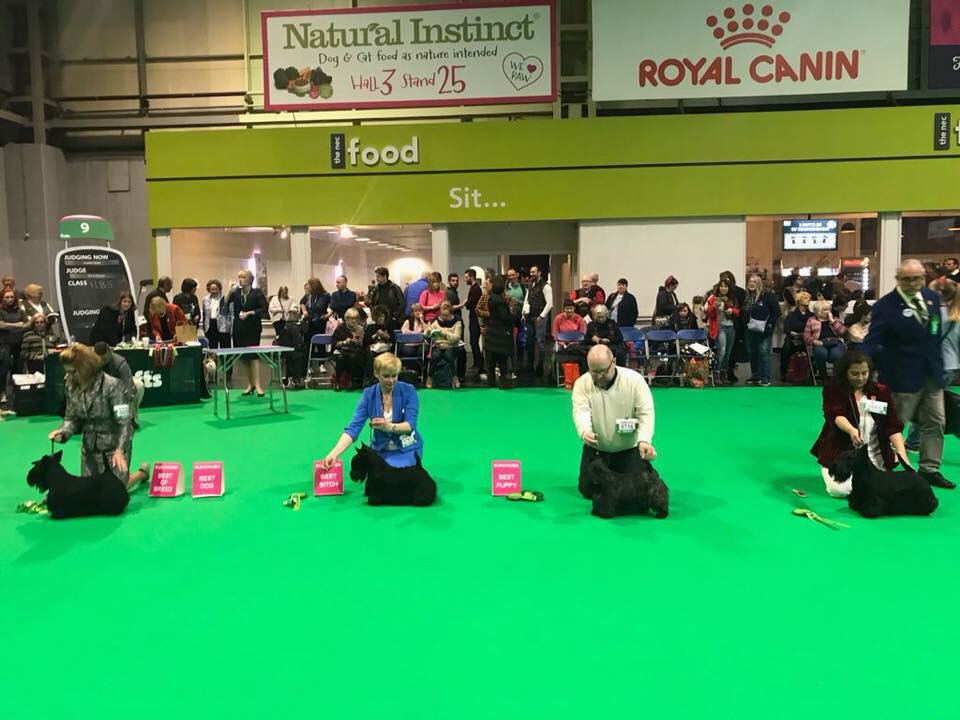 28951440_10210765958977473_9167715277893801594_n 28951440_10210765958977473_9167715277893801594_n