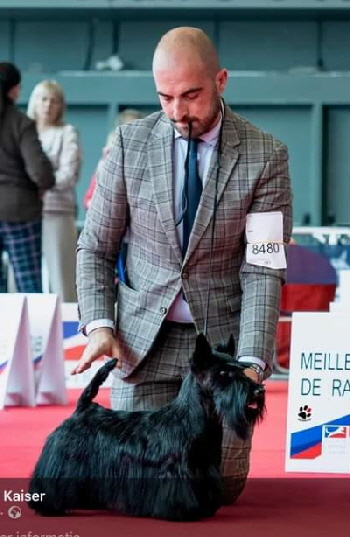 BOB EDS Paris BOB EDS Paris