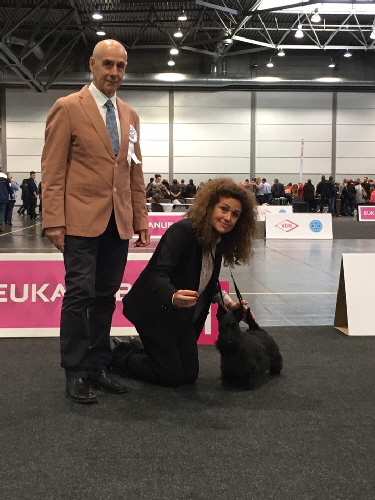 Beamups Buddy Holly BP WW Beamups Buddy Holly BP WW