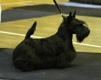 Brueiks Bjorn Brueiks Bjorn