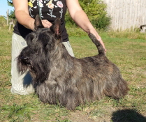 Chalenger Dai Hatd SloCh