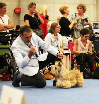 Danskots CopperCoin WDS 2014 Danskots CopperCoin WDS 2014