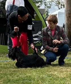 Emil NRW-Sieger 2024 + BIS (002)