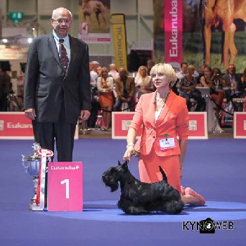 Eurodog 2013 BIG Eurodog 2013 BIG