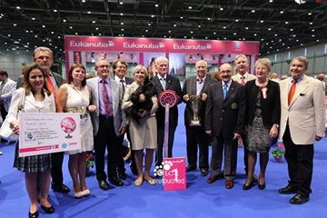 Eurodog-BIS Eurodog-BIS