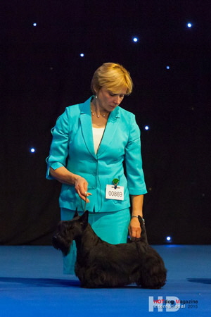 FB-BOS-EDS-Oslo FB-BOS-EDS-Oslo