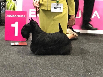 FB-Beauty-WW2 FB-Beauty-WW2