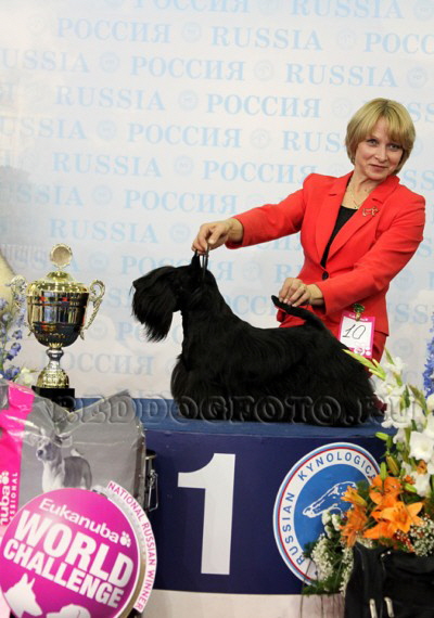FB Celebration Eukanuba FB Celebration Eukanuba