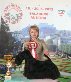 FB-Celebration-WDS2012 FB-Celebration-WDS2012