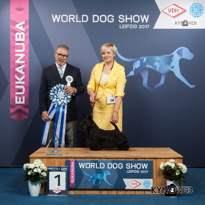 FB Celestial Gait WJS FB Celestial Gait WJS