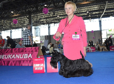 FB Pearly Dew EDS Brno FB Pearly Dew EDS Brno