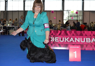 FB Tattoo EDS Brno FB Tattoo EDS Brno