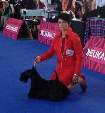 Foto Major Brünn Foto Major Brünn