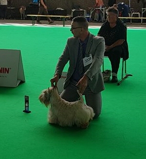 FrouFrou VWW Amst FrouFrou VWW Amst