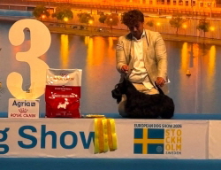 Funkytown BISJ Stockholm