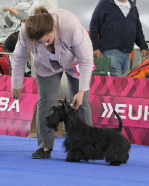 Gemma Stonehedge Tavel EJSg Gemma Stonehedge Tavel EJSg