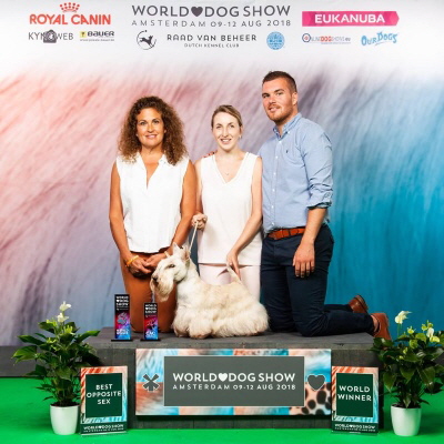 Happy End WW Amst Happy End WW Amst