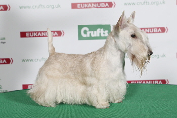 Happy End dMMG 2014_SCT_BOB Happy End dMMG 2014_SCT_BOB