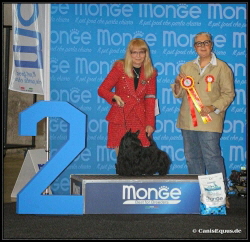 Huntings Moon BIG-2 Mons