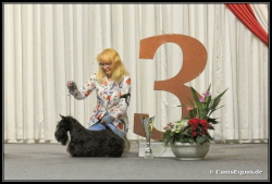 Huntings Moon BIG-3 Lux