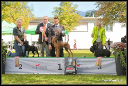 Huntings Moon BIG-3 Luzern