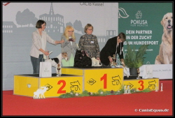 Huntings Moon BIG Kassel