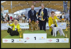 Huntings Moon BIG2 Karlsruhe