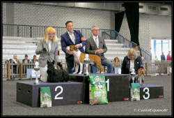 Huntings Moon BIG2 Lingen