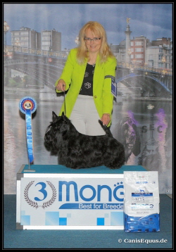 Huntings Moon BIG3 Liege