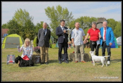 Huntings Moon BIS-2 Stove