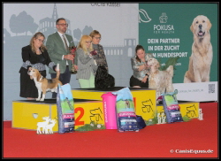 Huntings Moon BIS Kassel