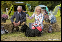 Huntings Moon BNL Stove Sa