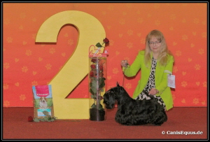 Huntings Moon Charleroi BIG-2