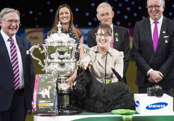 Knopa BIS Crufts Knopa BIS Crufts