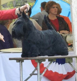 Knopa-MCKC Knopa-MCKC