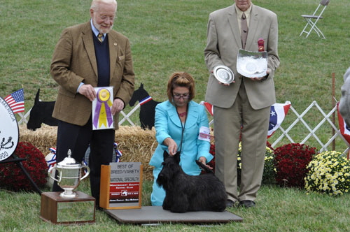 Lollypo-BOB-MCKC Lollypo-BOB-MCKC