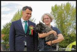 Maclaurin BIS Baby Stove