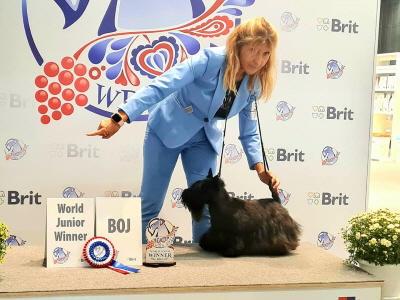 Magic Illusion WJS 2021 Magic Illusion WJS 2021