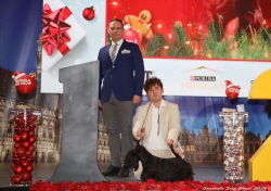 Marland Deliza BIG Brüssel 2