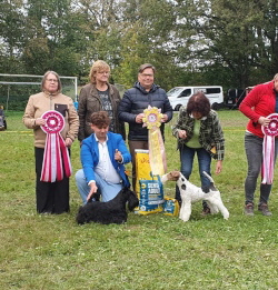 Marland Deliza BIS Remse2