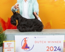 Marland Deliza Dutch Winner