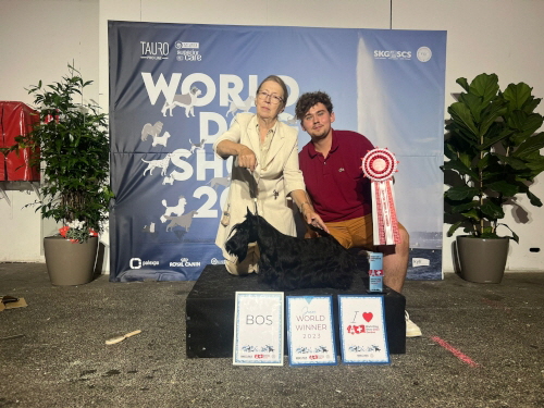 Marland Deliza WDS 2013 Marland Deliza WDS 2013